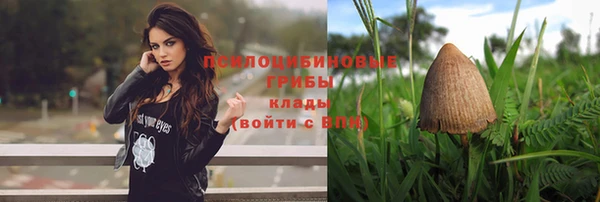 эйфоретик Всеволожск